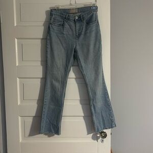 Everlane Raw Hem Mom Jean